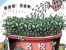 堪比“985”“211”的