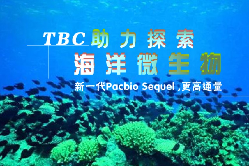 海洋微生物那么复杂， 天津生物芯片助力破解神之谜团