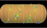 Nature：破解保守性细菌细胞壁构建蛋白RodA的结构