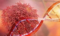 为什么说吃红肉致癌？这回科学家给出了分子证据