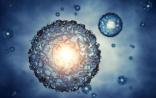 Science：细胞利用核ATP紧急驱动DNA修复