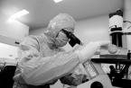 盘点：2016年年底最具潜力的5家生物科技公司