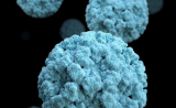 Science：每年感染7亿人，这种病毒“赖在”肠道中的秘诀被发现了