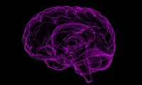 为什么氯胺酮抗抑郁？Science：这一快速药可恢复受损神经