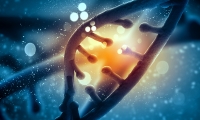 解密物种进化密码，天津大学合成生物学研究取得新成果