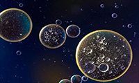 PD-1阻断疗法有用吗？日本科学家提出一种新的疗效指标