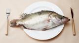 补充DHA，吃鱼还是“鱼油”？