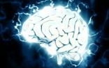 宋红军，明国丽Nature子刊发布大脑表观遗传学重要图谱