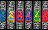 Science：新技术绘制人类瞬时转录组测序图谱