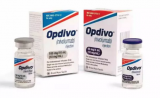 Opdivo二线治疗肝细胞癌获FDA优先审评