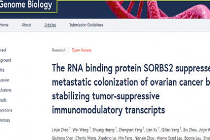 云序客户12分顶级文章，教你如何巧用RIP测序玩转分子机制！