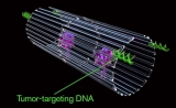 Nature子刊：DNA纳米机器人精准靶向癌症