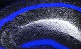 上海交大教授参与发表Science重要成果：5-羟色胺作用新机制