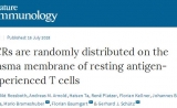 Nature Immunology揭秘：T细胞如何“快速反应”？