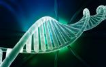 两篇Nature子刊：验证NGS临床检测性能的新方法