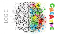 Nature：生命在于“休息”？延年益寿的秘诀在于大脑佛系思考