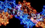 为何构成生命蓝图的是DNA，而非RNA？Nature子刊改写教科书