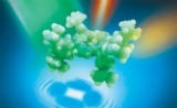 又一华裔新星Nature发文报道成像技术重大突破