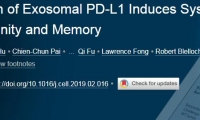 Cell：癌细胞“暗渡”PD-L1，远程解除免疫系统的“武装”
