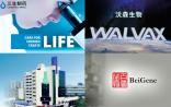 13.64亿、6亿、2.51亿！国内抗体市场“蛋糕争夺战”愈演愈烈