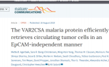 Nature子刊：以毒攻毒！科学家用疟疾检测癌症