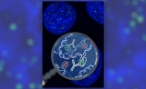 不只“双螺旋”，DNA还有其他新结构 | Nature子刊