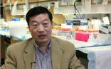 华人科学家发现阿尔兹海默症的源头或可追溯到出生前