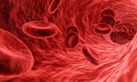 Cell重大突破：免疫细胞与焦虑之间竟然存在如此重要的联系