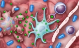 溶瘤病毒免疫疗法再获突破！两项成果登Science子刊封面
