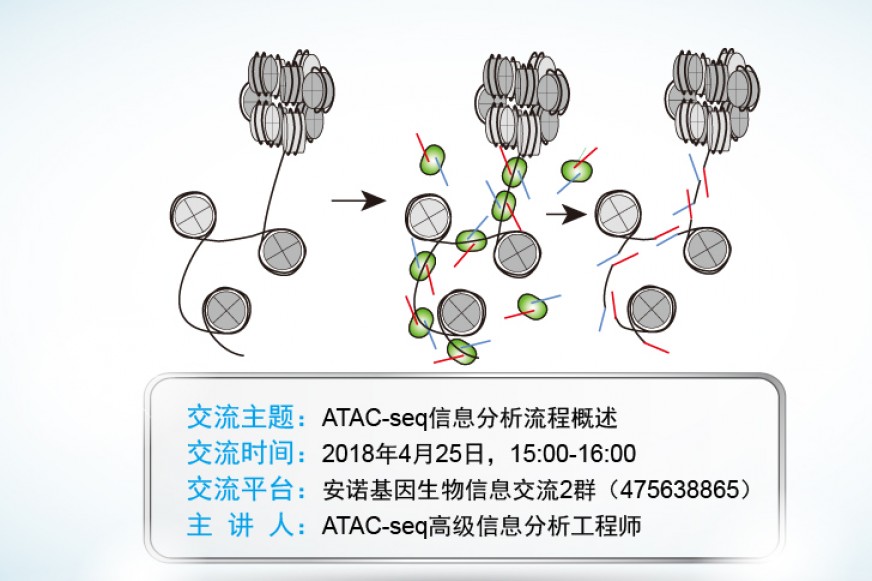 CNS新宠：ATAC-seq牛在哪？