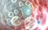 洋气！超声波驱动RNA，治疗胃肠道疾病