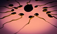 PNAS：揭秘男性生殖衰老的关键机制，可人工干预推迟