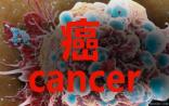 癌症生存率低：“穷癌”未去 “富癌”又至