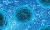 干细胞新用途！Nature子刊：科学家找到肌肉再生的方法