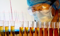 《Nature》子刊发布中国科学家普洱茶研究成果 揭示其降脂机制