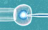 Mini-IVF逆袭传统IVF，是否成下一个生育治疗的突破口？