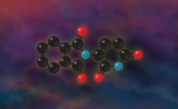 恶魔的獠牙：科学家揭示沙利度胺的致畸原理