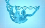 保护心脏，Nature子刊揭晓长寿人群中的神秘基因