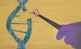 Cell：“魔剪”CRISPR“神助攻”，让CAR-T疗法告别毒性！