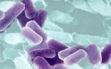 PNAS：抗药细菌可能更易在进化中被淘汰