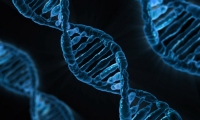 PLOS Biology | CRISPR技术新应用，中科院生化细胞所李劲松团队等筛选小鼠骨发育中