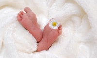 哺乳期女性要补充甜菜碱！母乳才更有助于婴儿肠道健康，避免“婴儿肥”