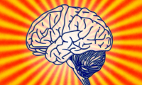 Neuron：人脑进化的关键，竟然是像癌细胞一样疯狂的新陈代谢！