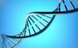 华大智造测序仪适配10X Genomics的Chromium系统