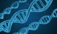 Nature重磅 | 诺禾致源项目组：第一个中国前列腺癌队列的基因组及表观组图谱