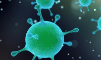 PNAS：“超级细菌”的秘密武器已被发现