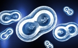 Science：让所有类型癌细胞都减缓生长的方法