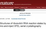 Nature发表结构生物学重要成果