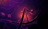 身高写在基因里！这个“基因突变”能让人矮2厘米 | Science关注
