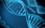 重要成果！Science：原来，有些癌症患者天生携带响应免疫疗法的基因